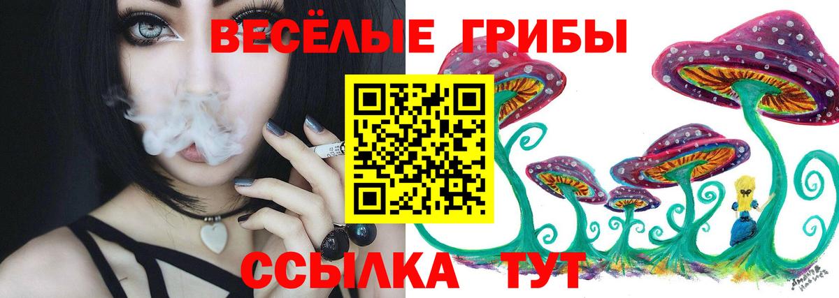 Сосновый Бор  Псилоцибиновые грибы ЛСД  Вход с VPN 